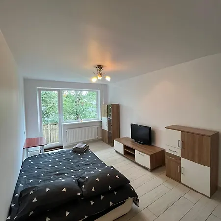 Refurbished 1 Bedroom For Rent * Kaunas